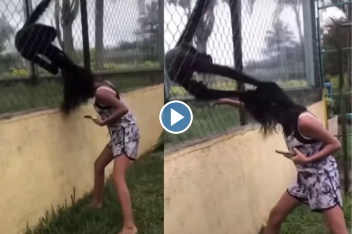 Monkey pulling hair of little girl