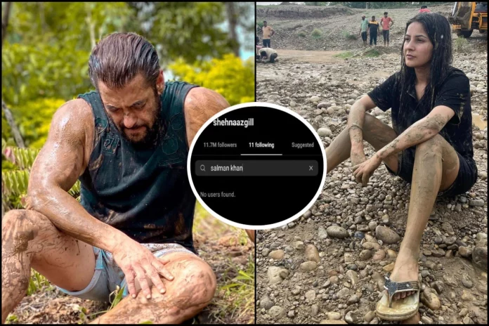 shehnaaz gill and salman khan