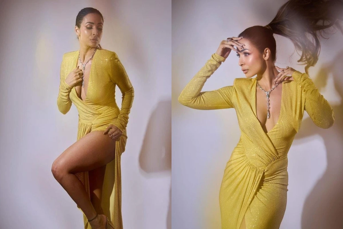 Malaika Arora gets trolled for her yellow revealing outfit, user said  \