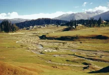 Jammu and Kashmir: India rejects “incorrect and unwarranted” references to the UT’s by Islamic Nations Group Jammu and Kashmir