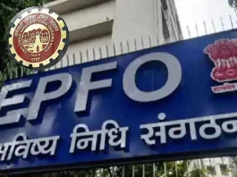 EPFO No interest visible on account Finance Ministry clarifies what's wrong Read details here