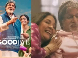 Goodbye movie review