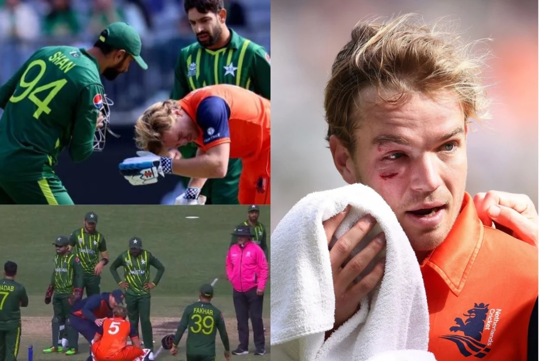 PAK vs NED A yorker so deadly, it took out blood ! Watch Haris Rauf's ball which sent batsman back to pavillion with injury