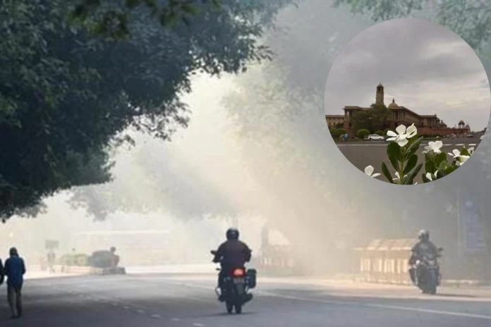 Weather Update Breezy weather begins in Delhi-NCR; Heavy rains expected in THESE states