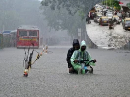 Weather Update Heavy rains with thunderstorms to lash Mumbai and Chennai; North India to remain clear
