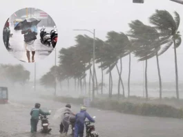 Weather Update Karnataka, Tamil Nadu, Andhra, and Kerala to get Heavy showers; North-India to remain dry