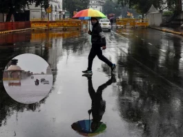 Weather Update North India to recieve light rain; Yellow Alert issued for these states