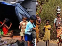 World Bank Over 5.6 crore Indians fell into poverty in the year 2020