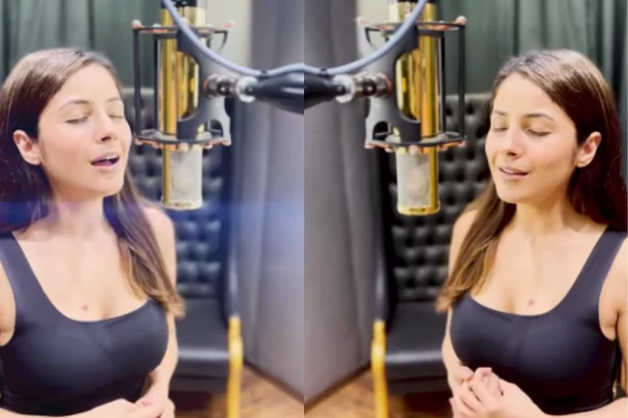 Shehnaaz Gill new song