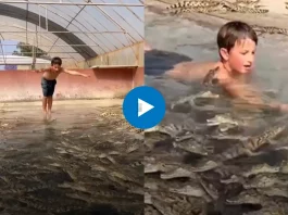 Viral Video