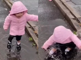Viral Video Toddlers are the cutest ! Young girl was jumping on the puddle and then THIS happened