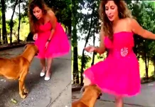 Viral Video: Viral video: Social media influencer with over 2 million followers ‘fakes’ love for dog, netizens slam her Viral Video