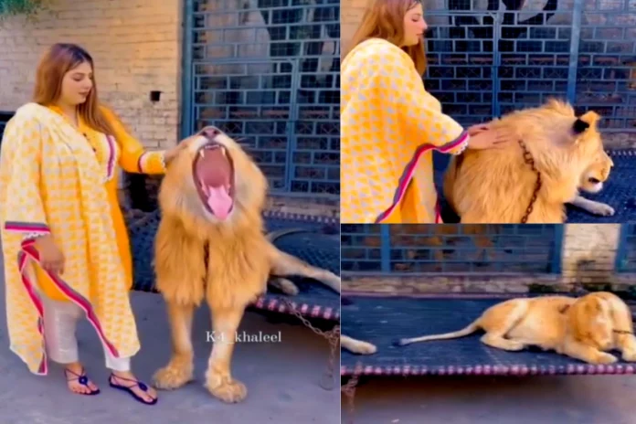 Viral Video Viral Video