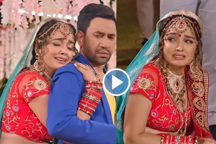 Bhojpuri dance video (2)