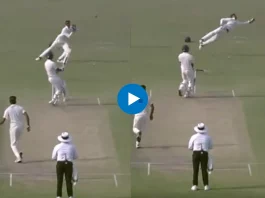 Cricket Viral Video