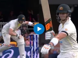 Cricket Viral Video