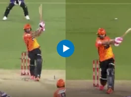 Cricket Viral Video