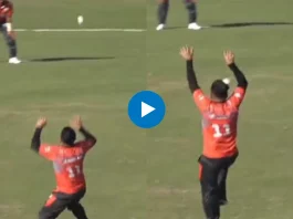 Cricket Viral Video