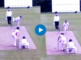 Cricket Viral Video