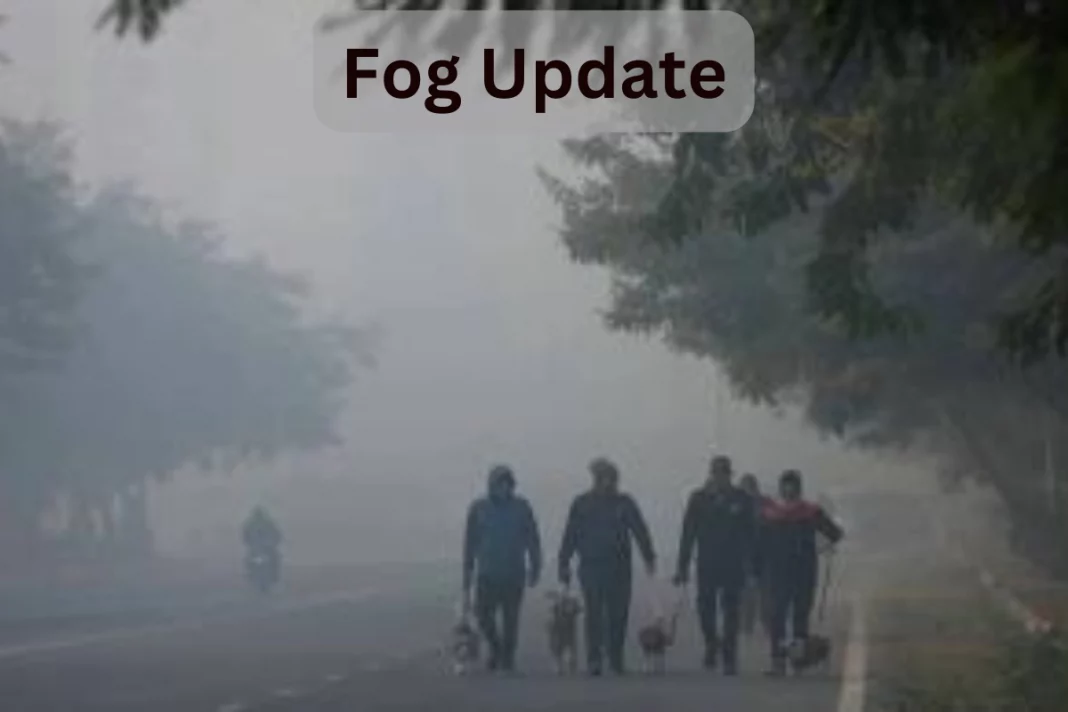 Fog Update