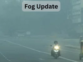 Fog Update