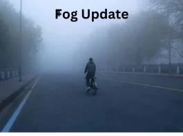 Fog Update