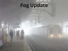 Fog Update
