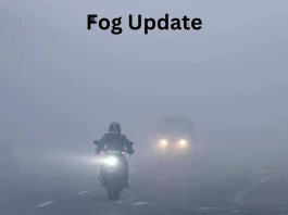 Fog Update