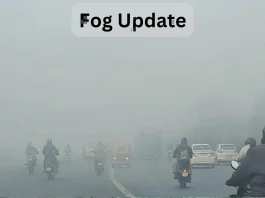 Fog Update