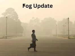 Fog Update