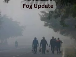 Fog Update