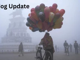 Fog Update