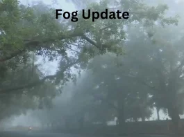 Fog Update