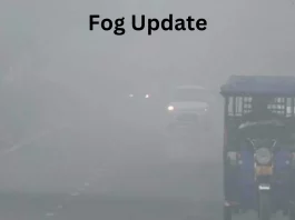 Fog Update