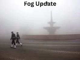 Fog Update