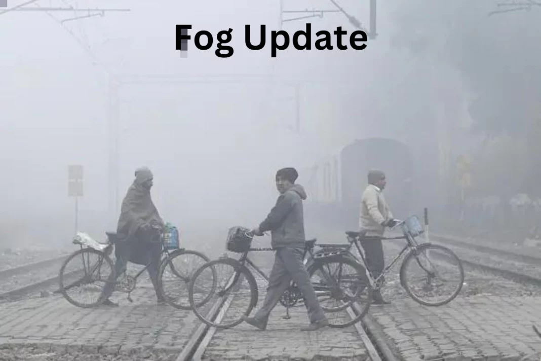 Fog Update