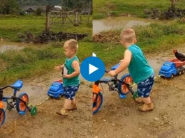 Viral Video