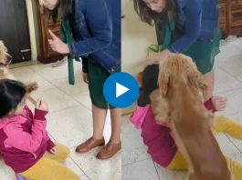 Viral Video