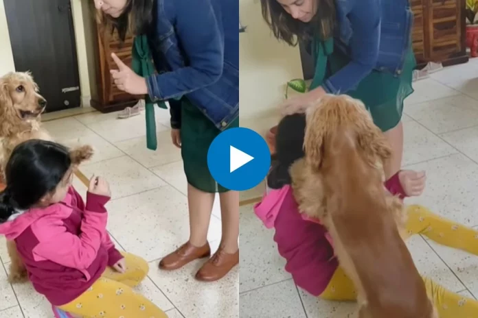 Viral Video (2) Viral Video