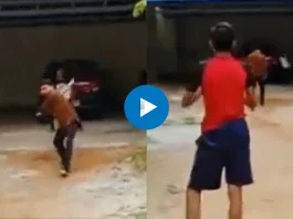Viral Video