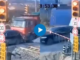 Viral Video