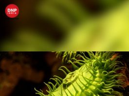Sequence 01.00_02_00_18.Still2073