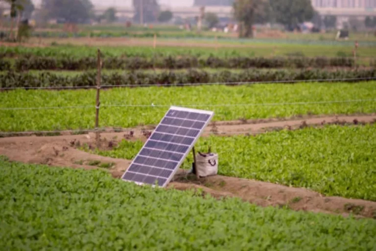 Farmers will be able to install solar energy generation plants: UPPCL
