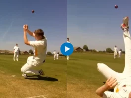 Cricket Viral Video