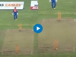 Cricket Viral Video