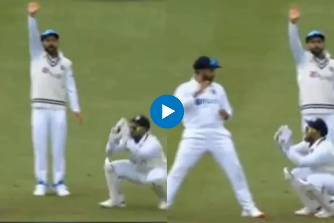 Cricket Viral Video