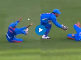 Cricket Viral Video
