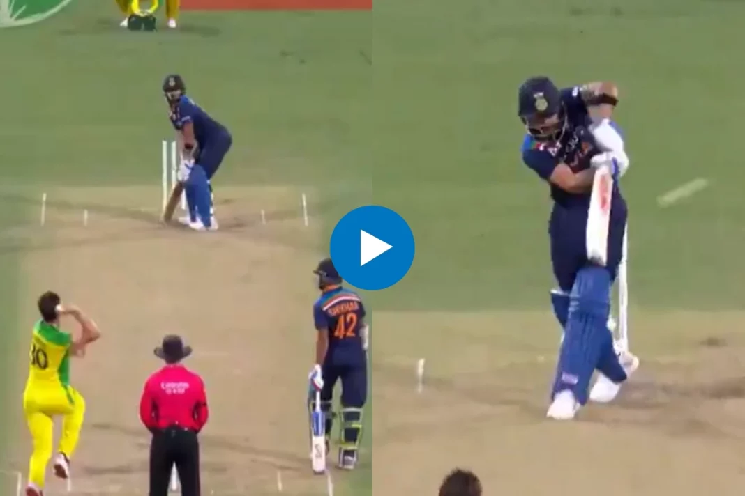 Cricket Viral Video