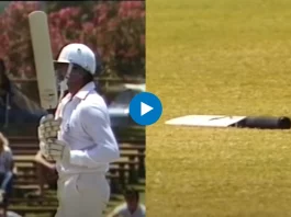 Cricket Viral Video
