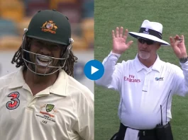 Cricket Viral Video